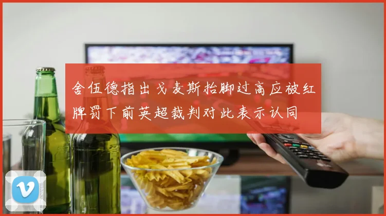 舍伍德指出戈麦斯抬脚过高应被红牌罚下前英超裁判对此表示认同